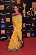 Neetu Chandra at Star Guild Awards red carpet in Mumbai on 16th Feb 2013 (26).JPG